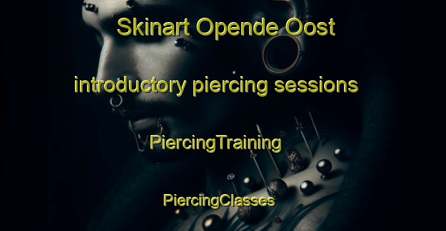 Skinart Opende Oost introductory piercing sessions | PiercingTraining | PiercingClasses | SkinartTraining-Netherlands