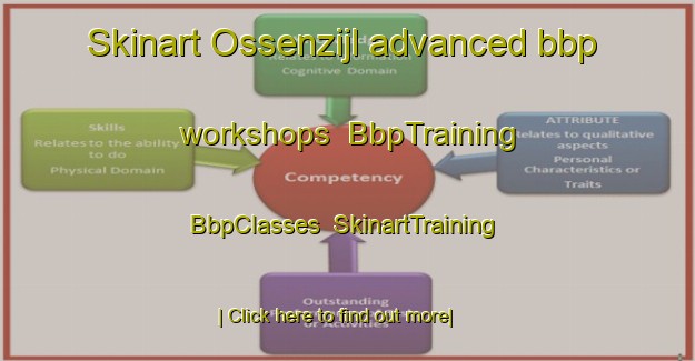 Skinart Ossenzijl advanced bbp workshops | BbpTraining | BbpClasses | SkinartTraining-Netherlands