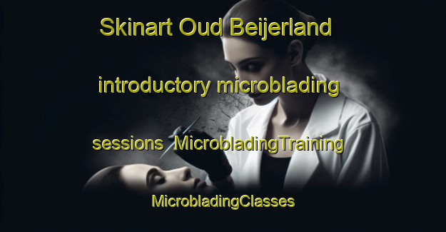 Skinart Oud Beijerland introductory microblading sessions | #MicrobladingTraining #MicrobladingClasses #SkinartTraining-Netherlands