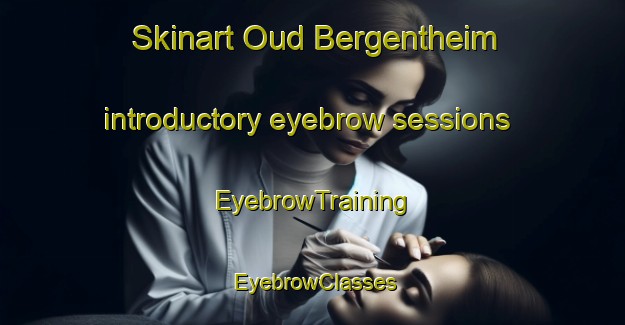 Skinart Oud Bergentheim introductory eyebrow sessions | EyebrowTraining | EyebrowClasses | SkinartTraining-Netherlands