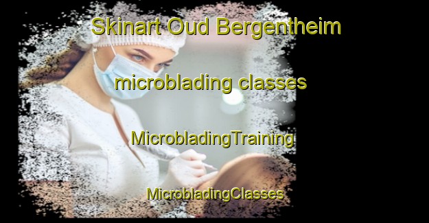 Skinart Oud Bergentheim microblading classes | #MicrobladingTraining #MicrobladingClasses #SkinartTraining-Netherlands