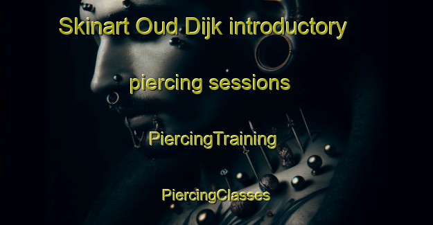 Skinart Oud Dijk introductory piercing sessions | #PiercingTraining #PiercingClasses #SkinartTraining-Netherlands