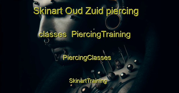 Skinart Oud Zuid piercing classes | PiercingTraining | PiercingClasses | SkinartTraining-Netherlands