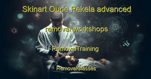 Skinart Oude Pekela advanced removal workshops | RemovalTraining | RemovalClasses | SkinartTraining-Netherlands