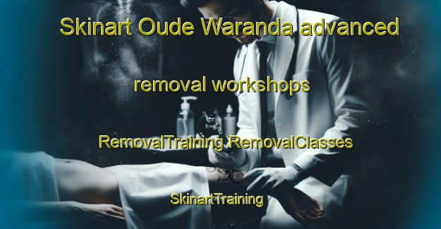 Skinart Oude Waranda advanced removal workshops | #RemovalTraining #RemovalClasses #SkinartTraining-Netherlands