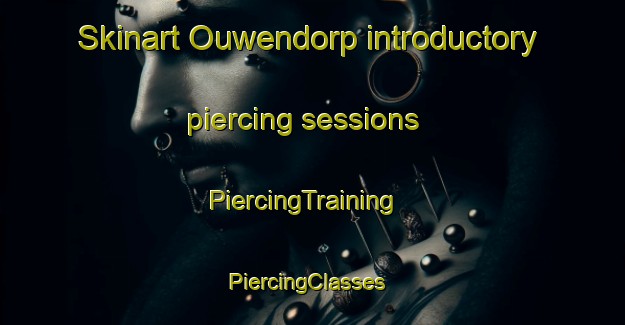 Skinart Ouwendorp introductory piercing sessions | PiercingTraining | PiercingClasses | SkinartTraining-Netherlands