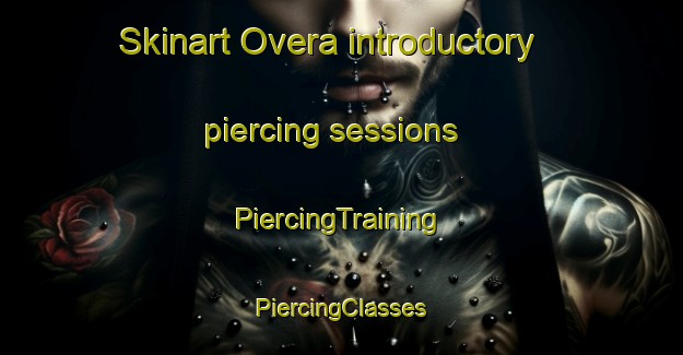 Skinart Overa introductory piercing sessions | #PiercingTraining #PiercingClasses #SkinartTraining-Netherlands