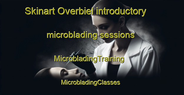Skinart Overbiel introductory microblading sessions | MicrobladingTraining | MicrobladingClasses | SkinartTraining-Netherlands