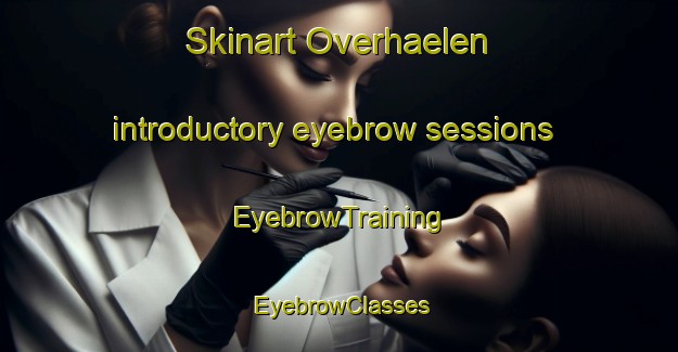 Skinart Overhaelen introductory eyebrow sessions | EyebrowTraining | EyebrowClasses | SkinartTraining-Netherlands