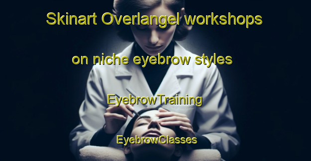Skinart Overlangel workshops on niche eyebrow styles | EyebrowTraining | EyebrowClasses | SkinartTraining-Netherlands