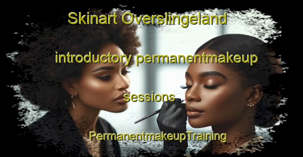 Skinart Overslingeland introductory permanentmakeup sessions | #PermanentmakeupTraining #PermanentmakeupClasses #SkinartTraining-Netherlands