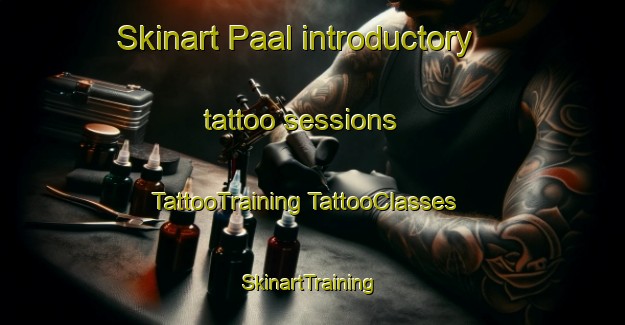 Skinart Paal introductory tattoo sessions | #TattooTraining #TattooClasses #SkinartTraining-Netherlands