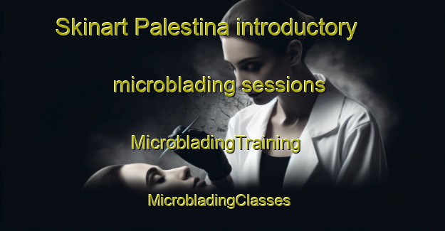 Skinart Palestina introductory microblading sessions | MicrobladingTraining | MicrobladingClasses | SkinartTraining-Netherlands