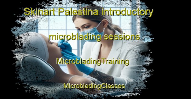 Skinart Palestina introductory microblading sessions | MicrobladingTraining | MicrobladingClasses | SkinartTraining-Netherlands