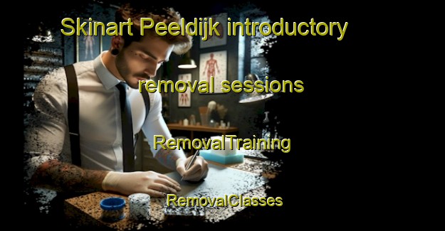 Skinart Peeldijk introductory removal sessions | RemovalTraining | RemovalClasses | SkinartTraining-Netherlands