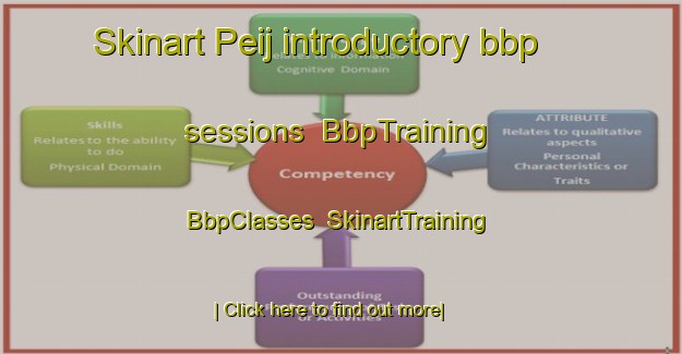 Skinart Peij introductory bbp sessions | BbpTraining | BbpClasses | SkinartTraining-Netherlands