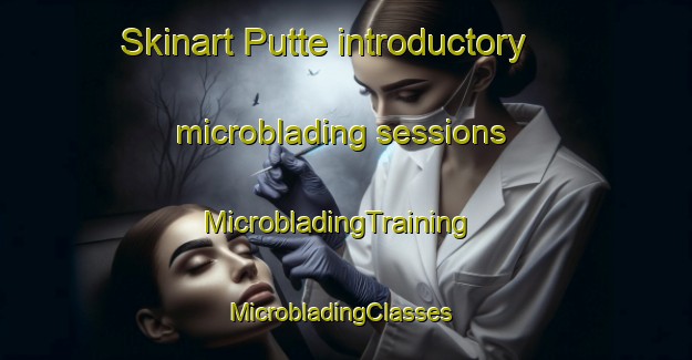 Skinart Putte introductory microblading sessions | MicrobladingTraining | MicrobladingClasses | SkinartTraining-Netherlands