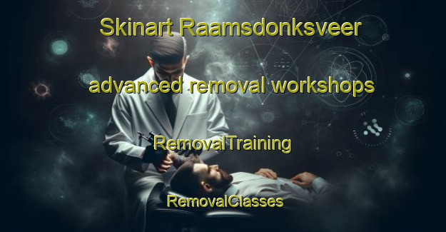 Skinart Raamsdonksveer advanced removal workshops | RemovalTraining | RemovalClasses | SkinartTraining-Netherlands