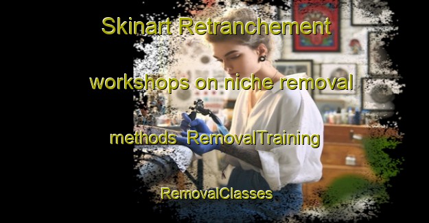Skinart Retranchement workshops on niche removal methods | RemovalTraining | RemovalClasses | SkinartTraining-Netherlands