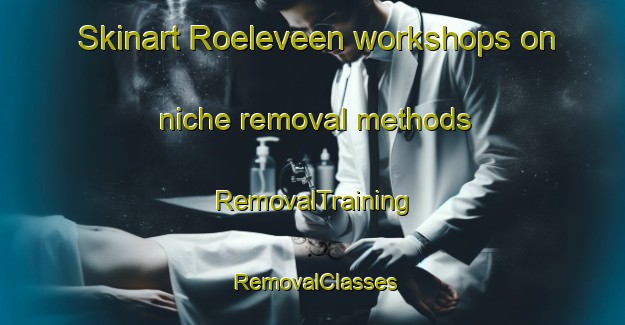 Skinart Roeleveen workshops on niche removal methods | RemovalTraining | RemovalClasses | SkinartTraining-Netherlands
