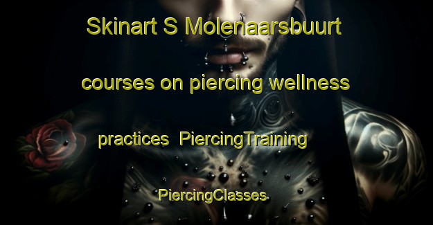 Skinart S Molenaarsbuurt courses on piercing wellness practices | PiercingTraining | PiercingClasses | SkinartTraining-Netherlands
