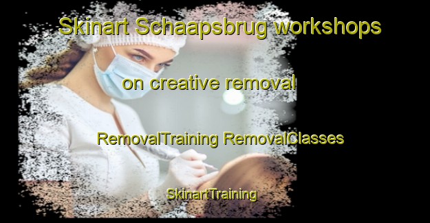 Skinart Schaapsbrug workshops on creative removal | #RemovalTraining #RemovalClasses #SkinartTraining-Netherlands