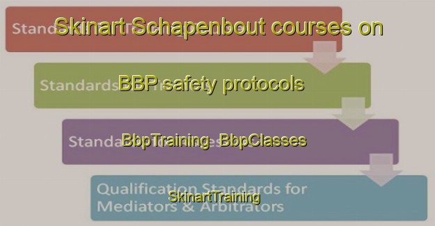 Skinart Schapenbout courses on BBP safety protocols | BbpTraining | BbpClasses | SkinartTraining-Netherlands
