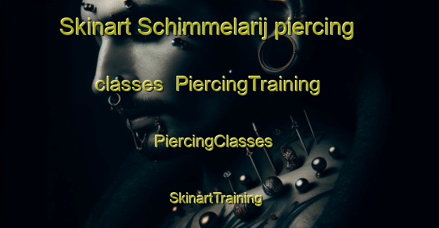 Skinart Schimmelarij piercing classes | PiercingTraining | PiercingClasses | SkinartTraining-Netherlands