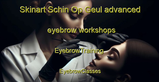Skinart Schin Op Geul advanced eyebrow workshops | EyebrowTraining | EyebrowClasses | SkinartTraining-Netherlands