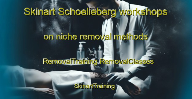 Skinart Schoelieberg workshops on niche removal methods | #RemovalTraining #RemovalClasses #SkinartTraining-Netherlands