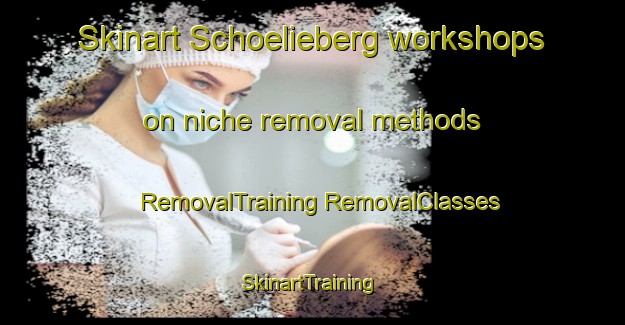 Skinart Schoelieberg workshops on niche removal methods | #RemovalTraining #RemovalClasses #SkinartTraining-Netherlands