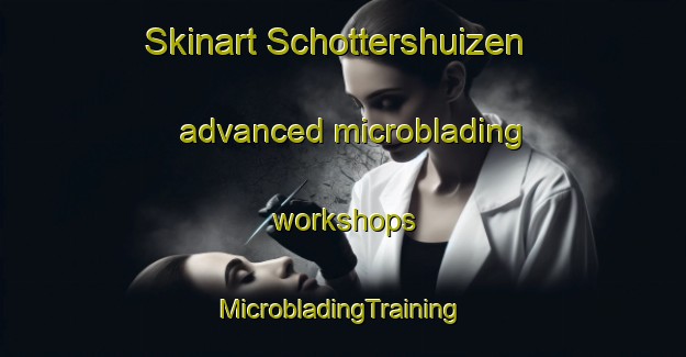 Skinart Schottershuizen advanced microblading workshops | #MicrobladingTraining #MicrobladingClasses #SkinartTraining-Netherlands