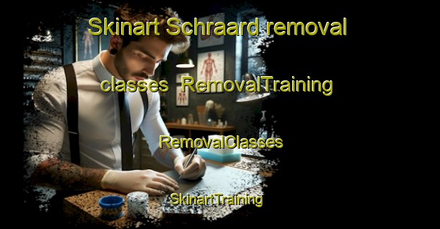 Skinart Schraard removal classes | RemovalTraining | RemovalClasses | SkinartTraining-Netherlands
