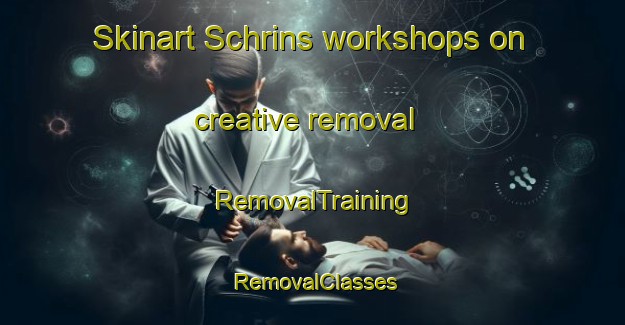 Skinart Schrins workshops on creative removal | RemovalTraining | RemovalClasses | SkinartTraining-Netherlands