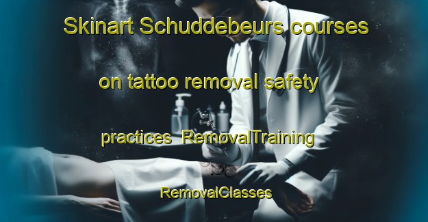 Skinart Schuddebeurs courses on tattoo removal safety practices | RemovalTraining | RemovalClasses | SkinartTraining-Netherlands