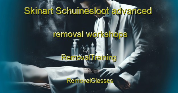 Skinart Schuinesloot advanced removal workshops | RemovalTraining | RemovalClasses | SkinartTraining-Netherlands