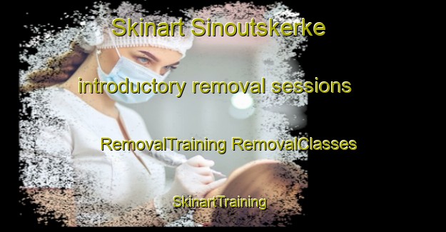 Skinart Sinoutskerke introductory removal sessions | #RemovalTraining #RemovalClasses #SkinartTraining-Netherlands