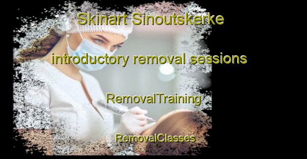 Skinart Sinoutskerke introductory removal sessions | RemovalTraining | RemovalClasses | SkinartTraining-Netherlands