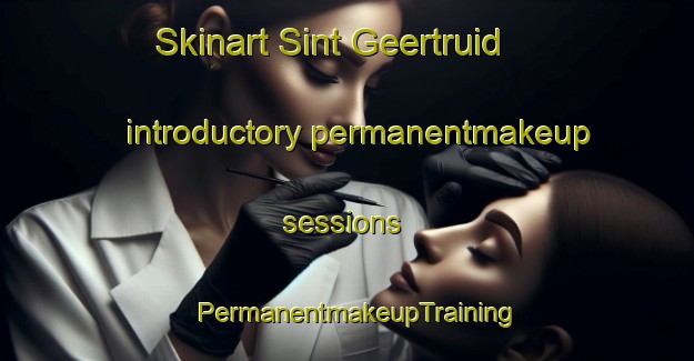 Skinart Sint Geertruid introductory permanentmakeup sessions | PermanentmakeupTraining | PermanentmakeupClasses | SkinartTraining-Netherlands