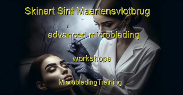 Skinart Sint Maartensvlotbrug advanced microblading workshops | #MicrobladingTraining #MicrobladingClasses #SkinartTraining-Netherlands