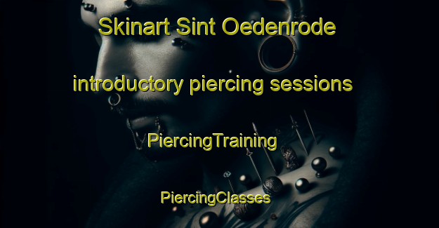 Skinart Sint Oedenrode introductory piercing sessions | PiercingTraining | PiercingClasses | SkinartTraining-Netherlands