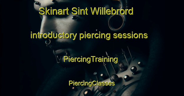 Skinart Sint Willebrord introductory piercing sessions | #PiercingTraining #PiercingClasses #SkinartTraining-Netherlands