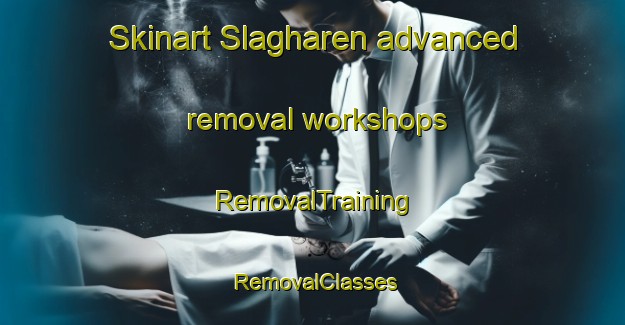 Skinart Slagharen advanced removal workshops | RemovalTraining | RemovalClasses | SkinartTraining-Netherlands