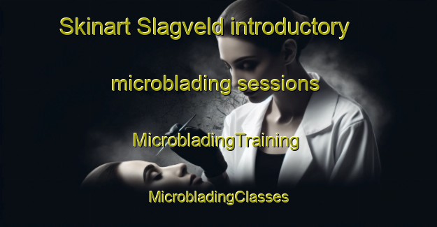 Skinart Slagveld introductory microblading sessions | #MicrobladingTraining #MicrobladingClasses #SkinartTraining-Netherlands