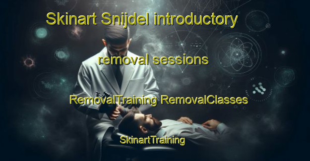 Skinart Snijdel introductory removal sessions | #RemovalTraining #RemovalClasses #SkinartTraining-Netherlands