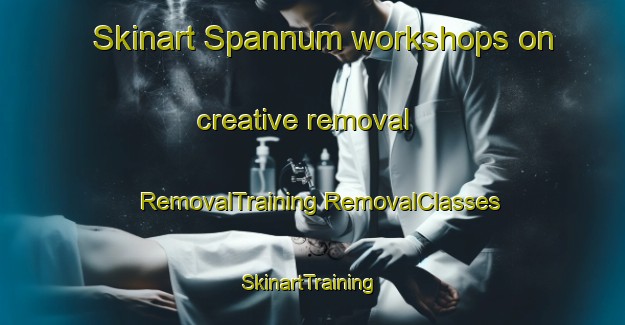 Skinart Spannum workshops on creative removal | #RemovalTraining #RemovalClasses #SkinartTraining-Netherlands