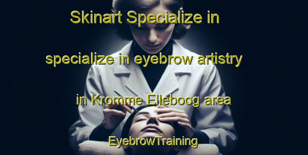 Skinart Specialize in specialize in eyebrow artistry in Kromme Elleboog area | EyebrowTraining | EyebrowClasses | SkinartTraining-Netherlands