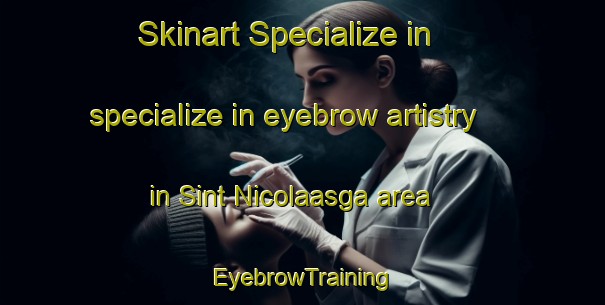 Skinart Specialize in specialize in eyebrow artistry in Sint Nicolaasga area | EyebrowTraining | EyebrowClasses | SkinartTraining-Netherlands