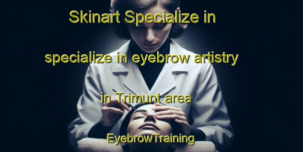 Skinart Specialize in specialize in eyebrow artistry in Trimunt area | EyebrowTraining | EyebrowClasses | SkinartTraining-Netherlands