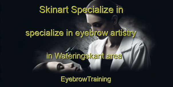 Skinart Specialize in specialize in eyebrow artistry in Wateringskant area | EyebrowTraining | EyebrowClasses | SkinartTraining-Netherlands